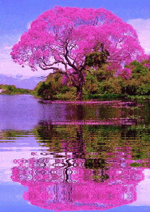如果 文‖芸竹(陕西)