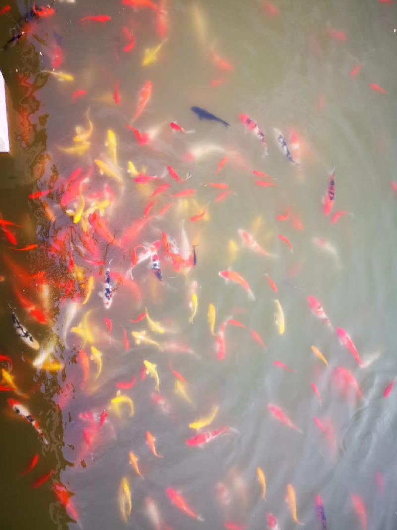 mmexport1573079770497