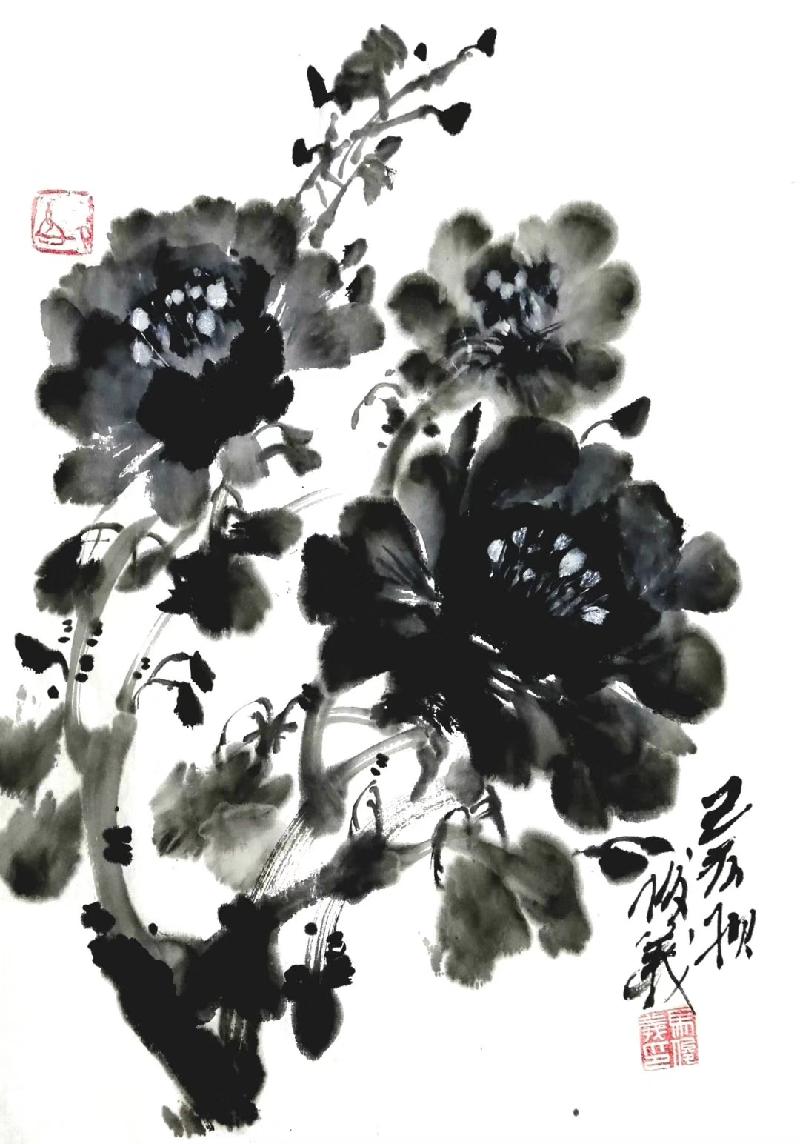 mmexport1572698441767