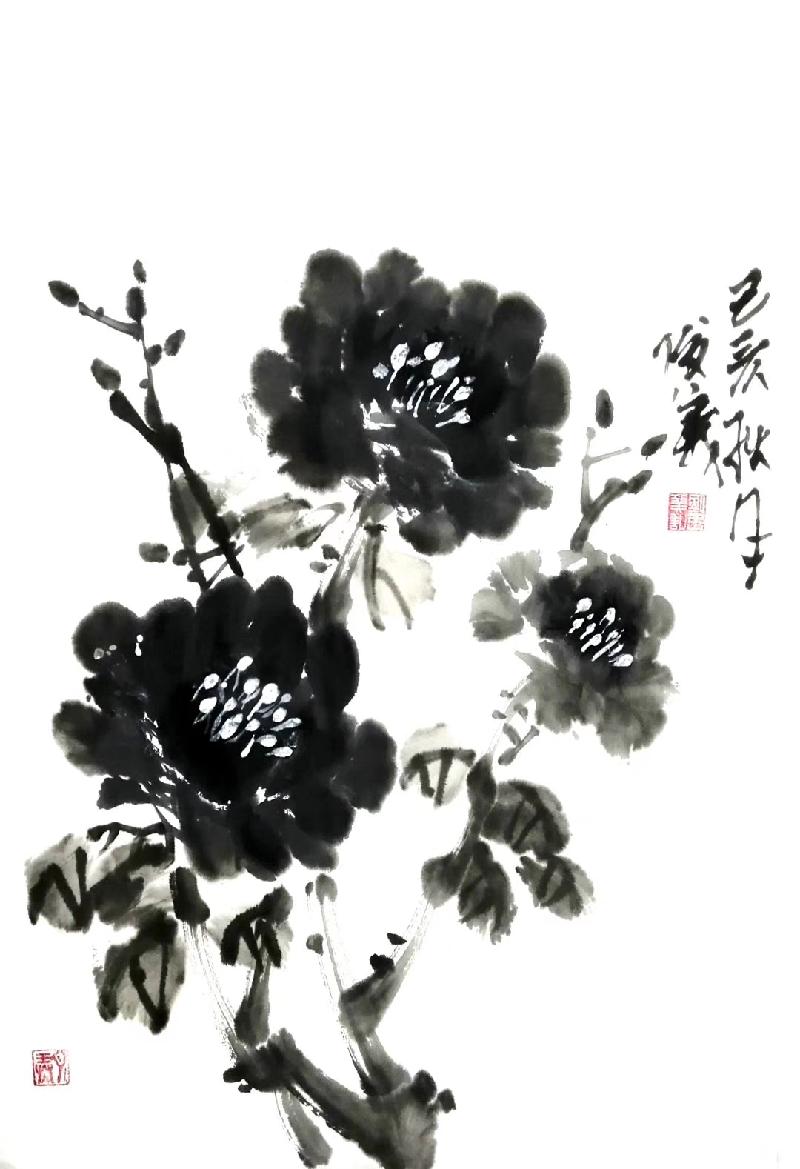 mmexport1572698437825