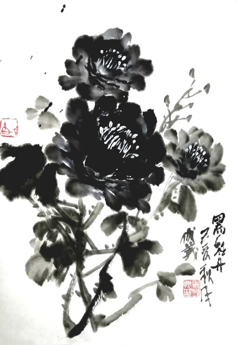 mmexport1572698433640