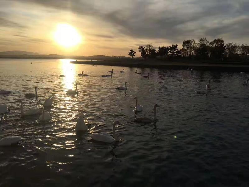 mmexport1572787253075