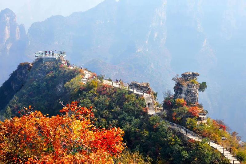 mmexport1572876161966