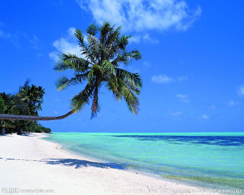 10016800_161325502163_2