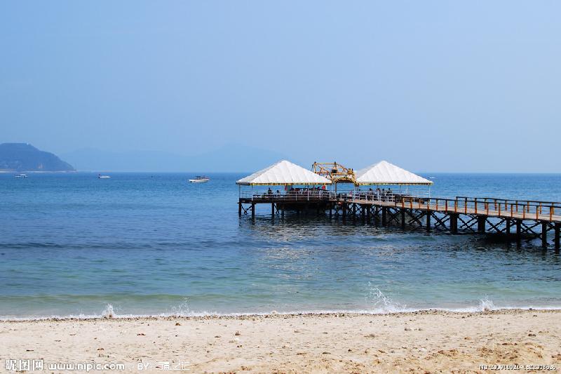 1259309_141522008636_2