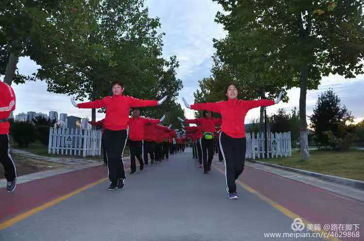 mmexport1573473045031