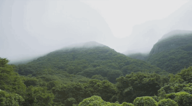 忆秦娥 ll 山野写实 文/格桑花 图/陈 涛