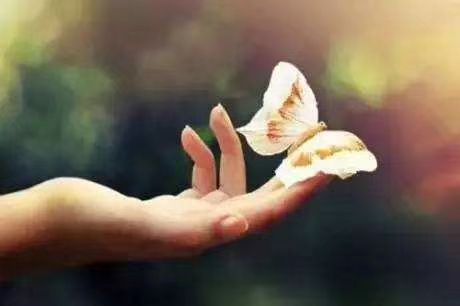 mmexport1573619908897