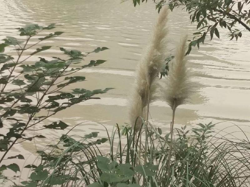 mmexport1573304819624