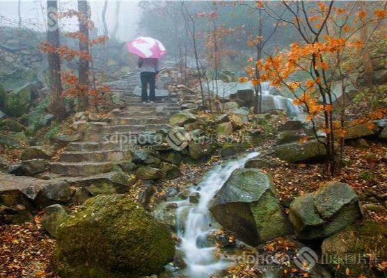 mmexport1573619917520