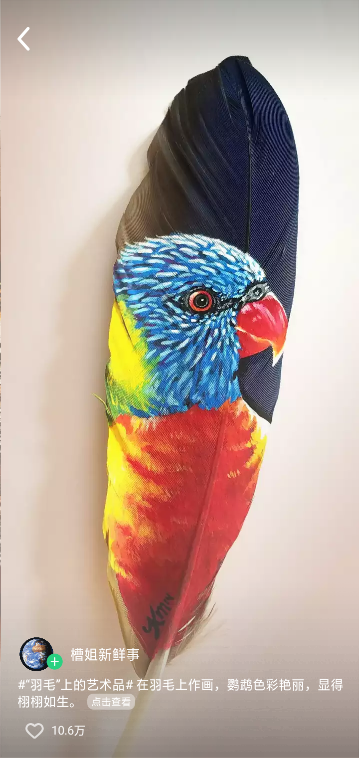 Screenshot_2019-11-13-10-03-11-17