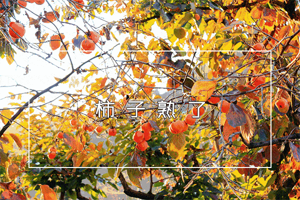 1573995328994.GIF