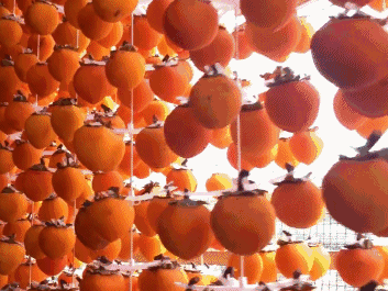 1573995355155.GIF