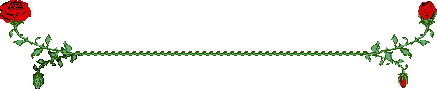 timg-2