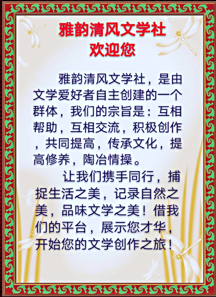 timg-1_mh1573956610922