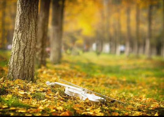 mmexport1573619922834