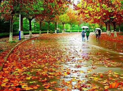 mmexport1573619901772