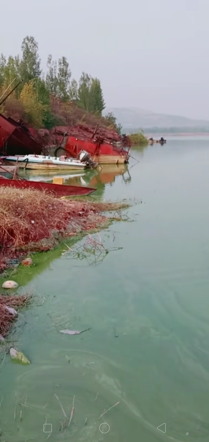 Screenshot_2019-11-11-12-46-37-03