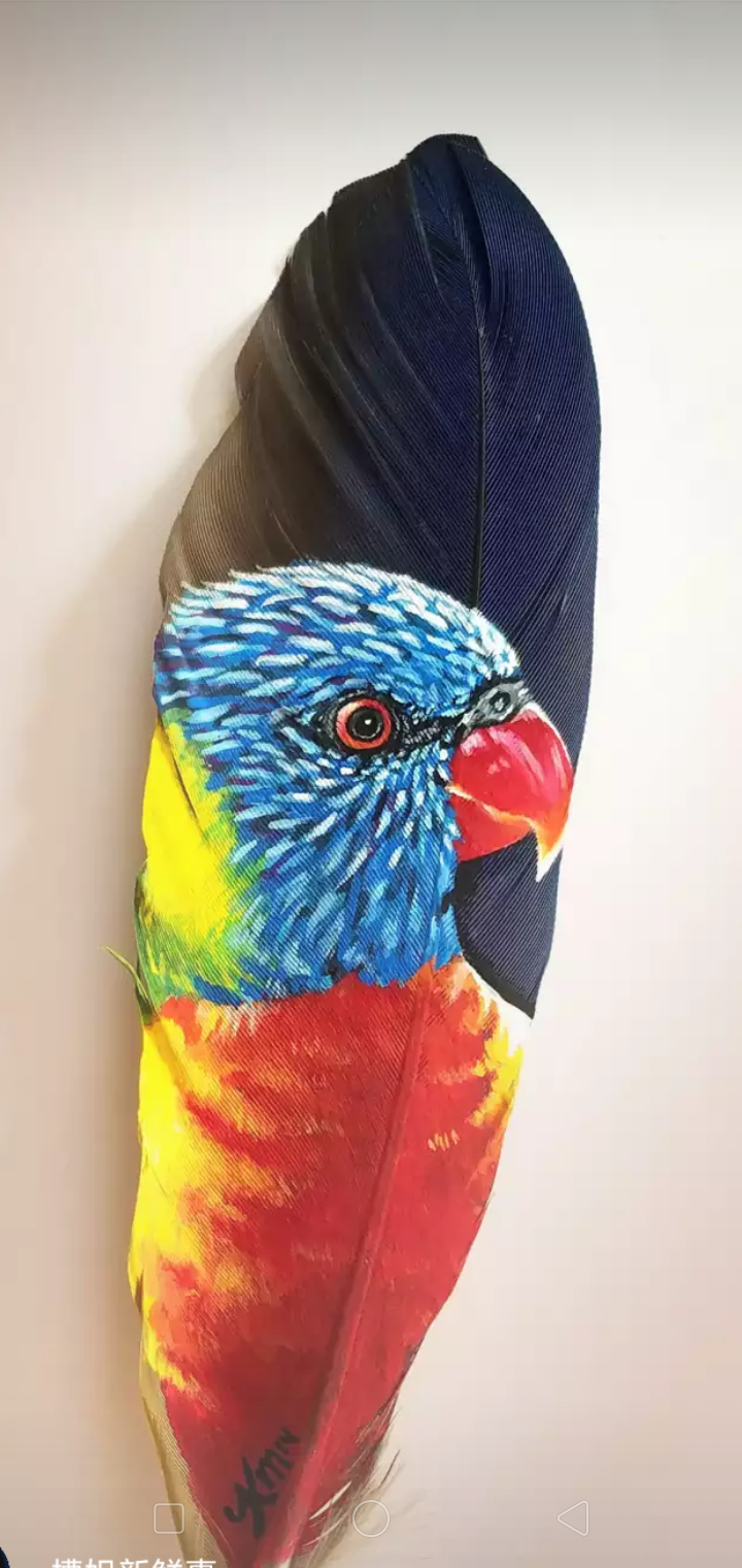 Screenshot_2019-11-18-20-50-21-56