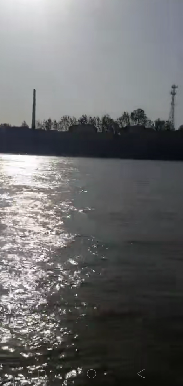 Screenshot_2019-11-17-13-59-47-53