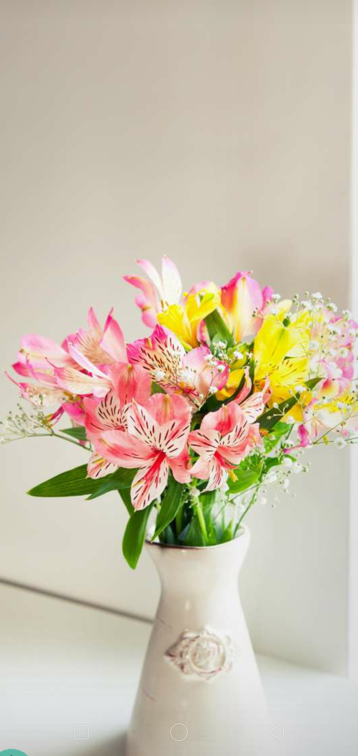 Screenshot_2019-11-18-20-48-51-53