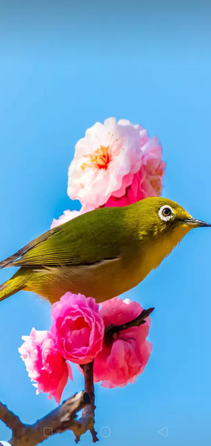 Screenshot_2019-11-18-20-44-55-34