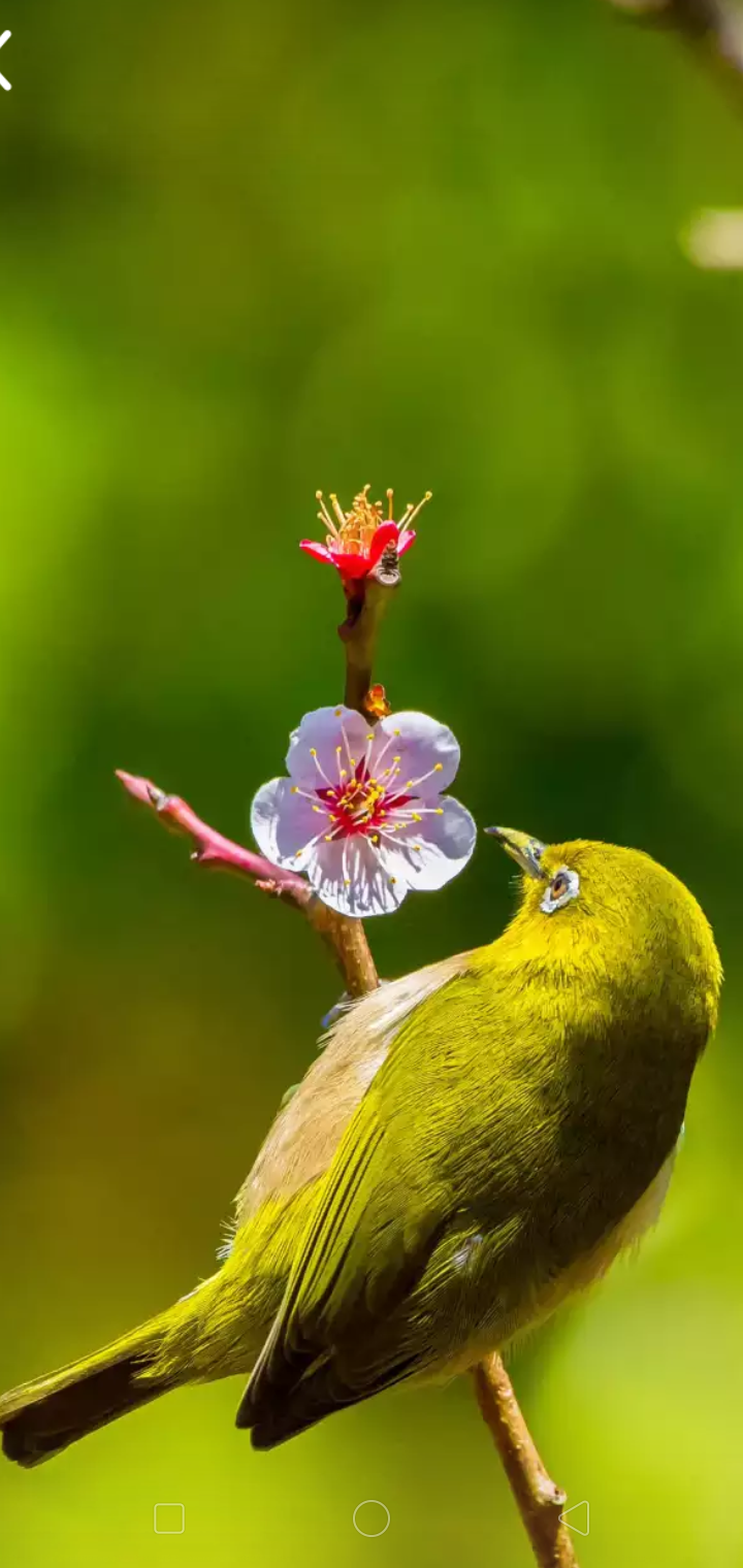 Screenshot_2019-11-18-20-45-05-31