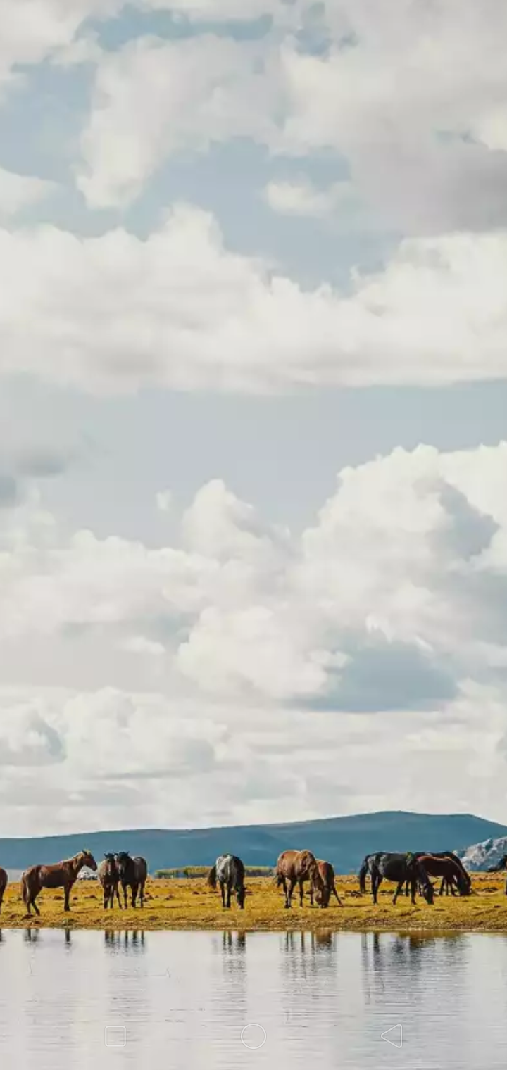 Screenshot_2019-11-20-16-56-25-43