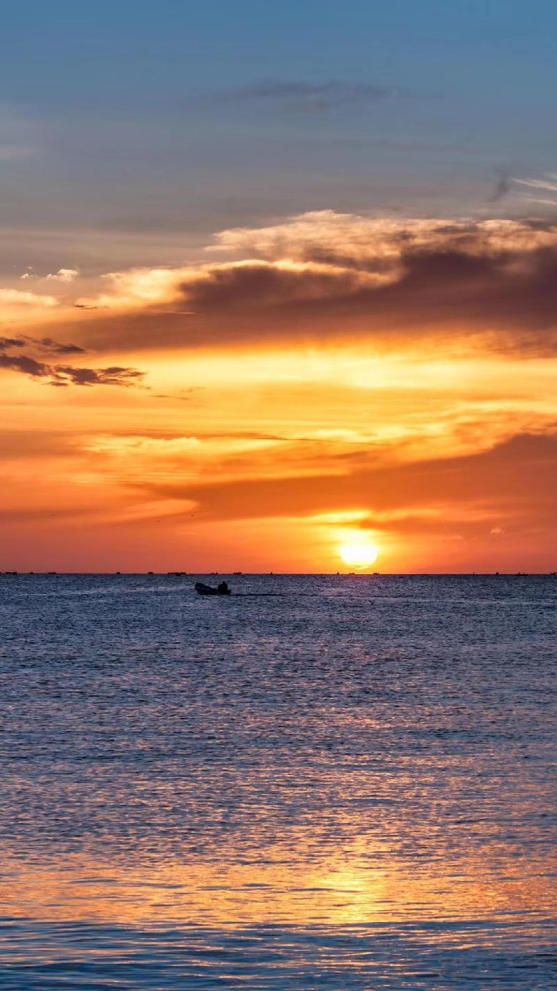 mmexport1574071863553