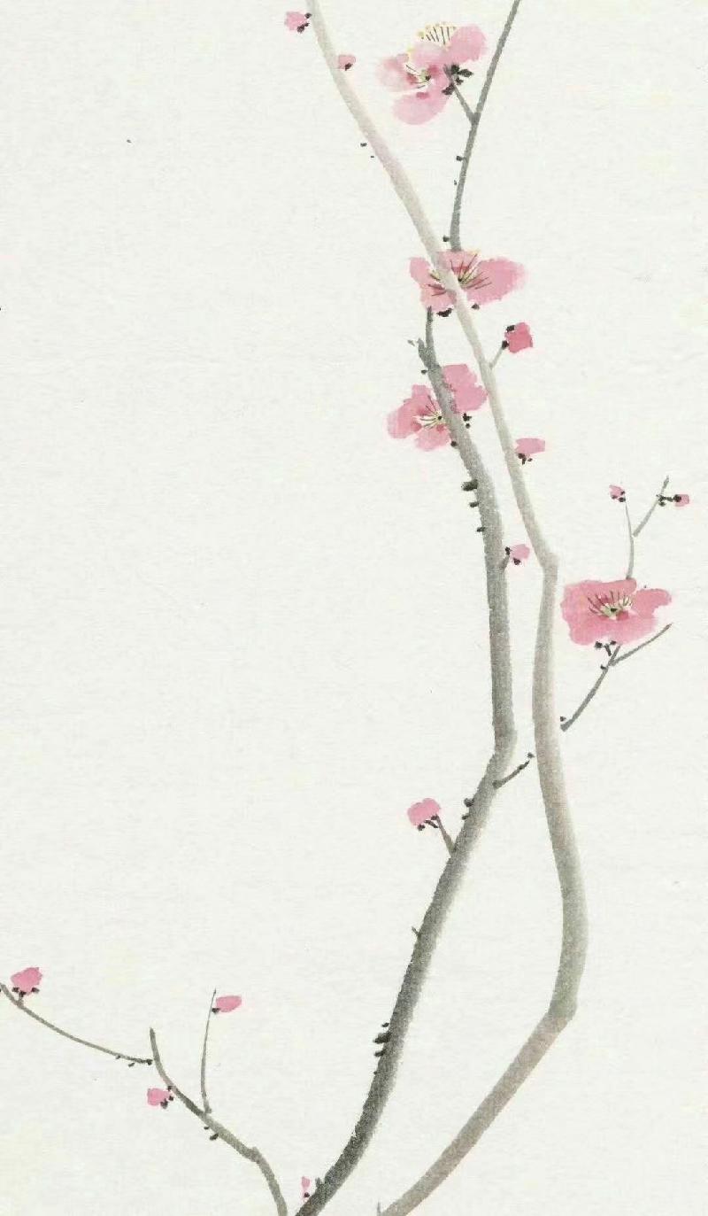 mmexport1574071658939