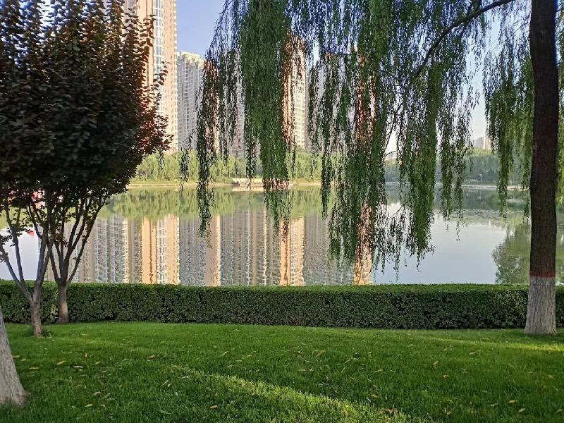 mmexport1574160240965