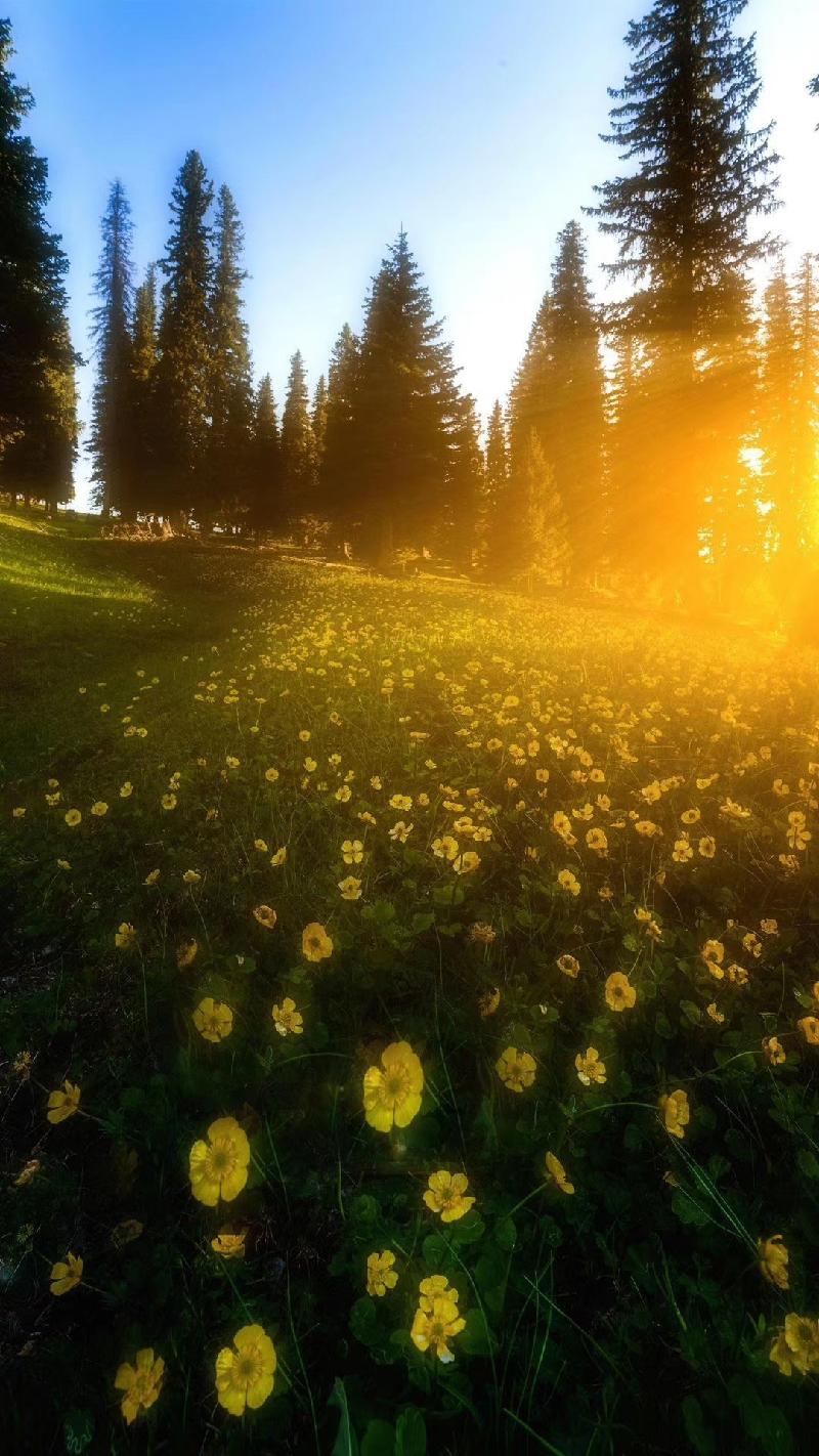 mmexport1574071848732