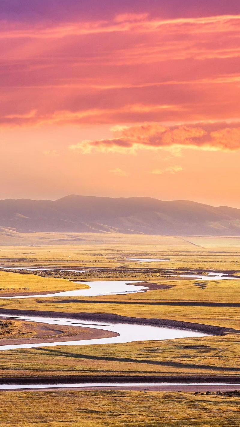 mmexport1574071838470