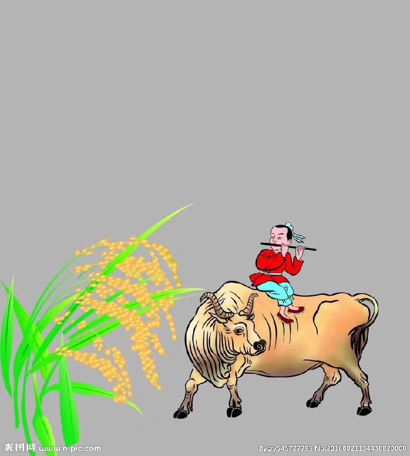 mmexport1573865629509