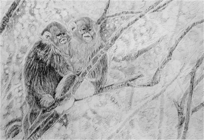 mmexport1572788618814