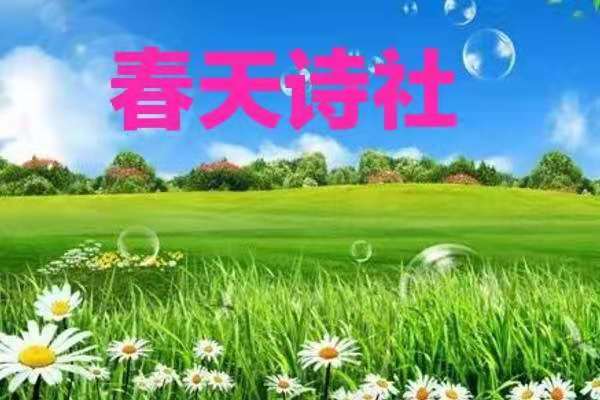 mmexport1574224827568