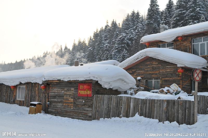 10377876_124919499139_2