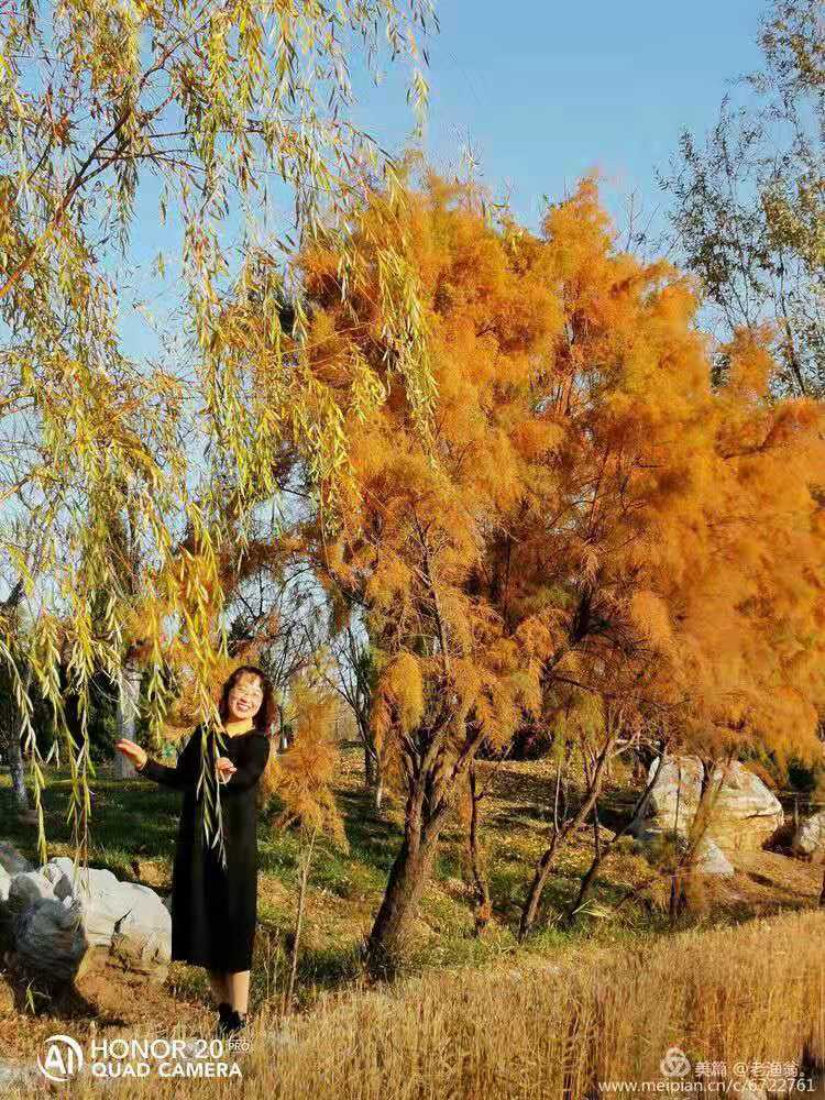 mmexport1574413324948