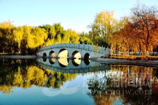 0558226cp6q8fabx9z6cgq