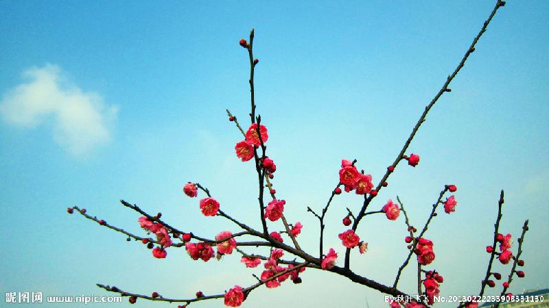 6863287_233908331130_2