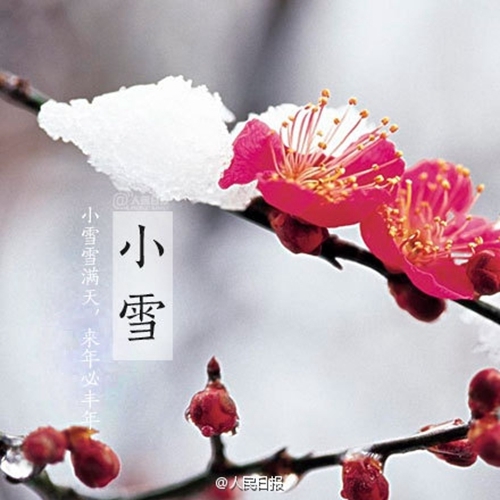 814334_2016112215072426677100