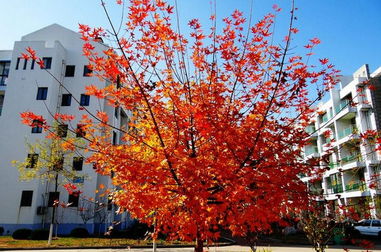 603a31d117e5e545e885780c0dc62762