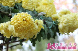 ab2a2926a10255c1cbb894308f877b8b