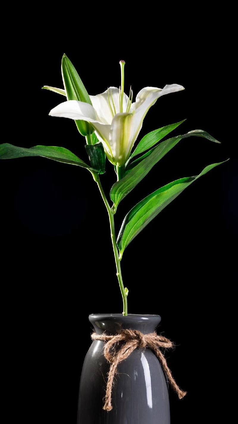 mmexport1574431364989