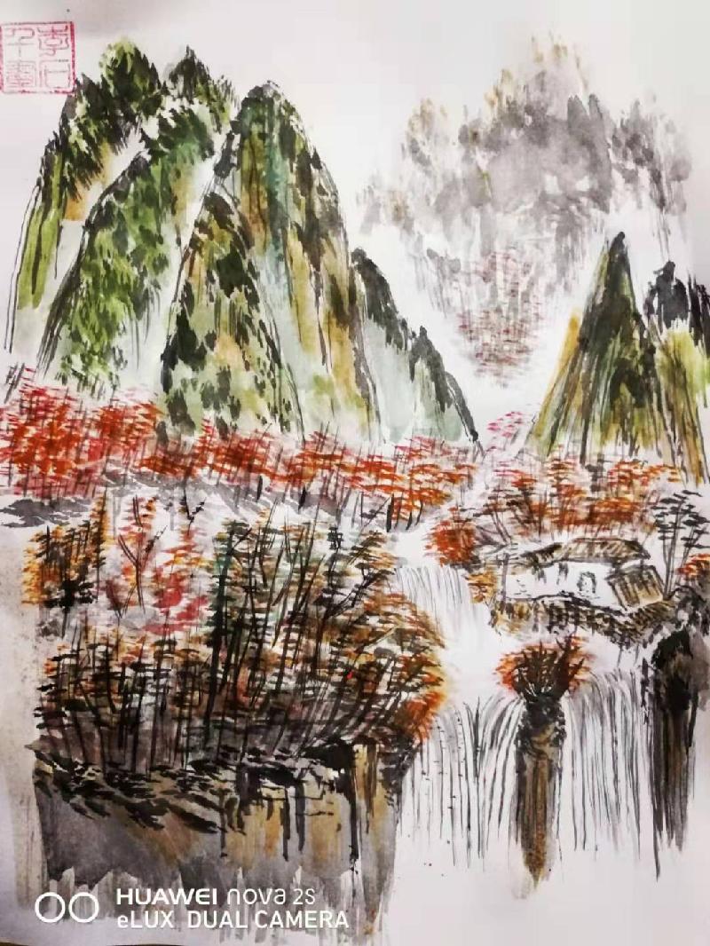 mmexport1574423497266