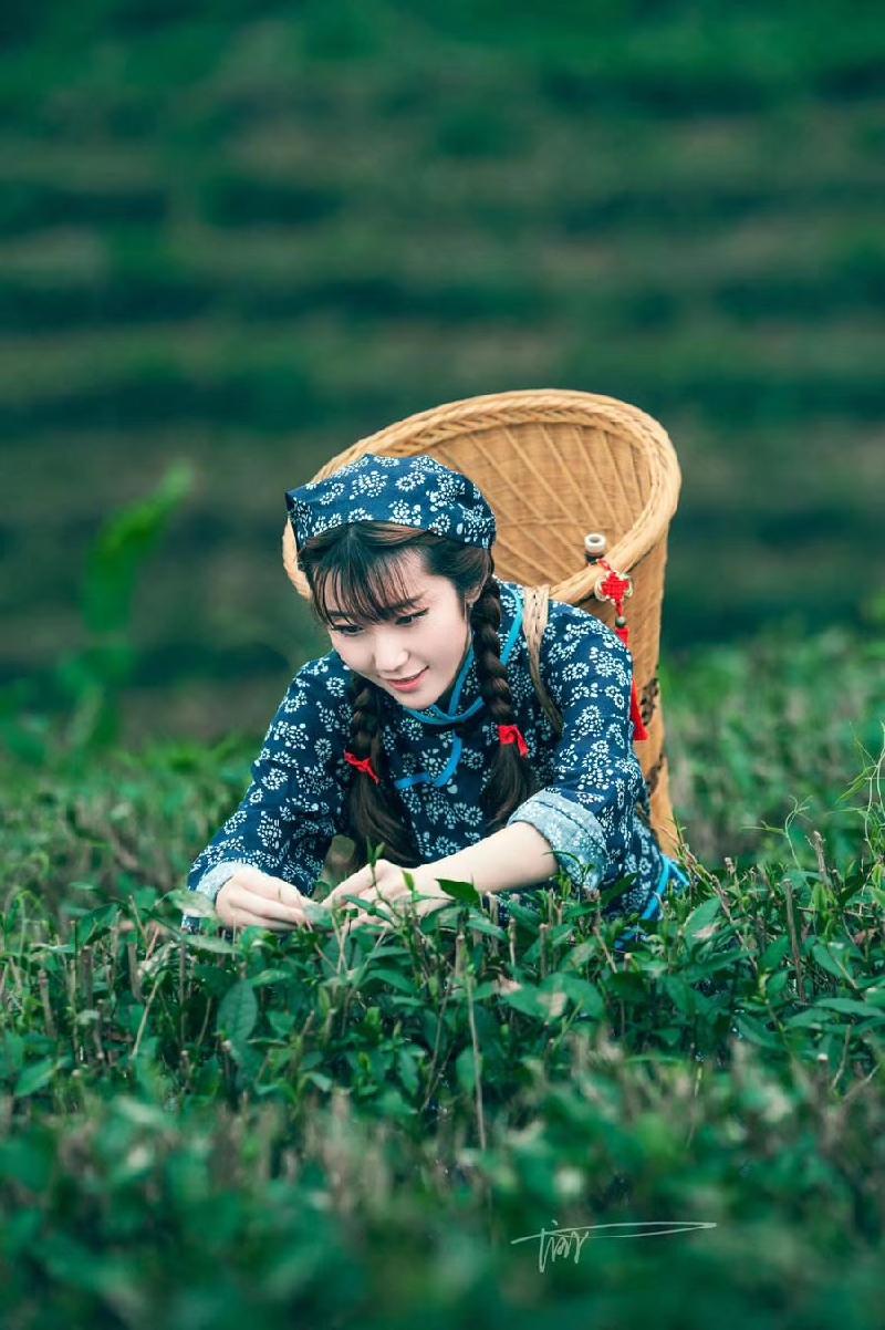 mmexport1574597969403