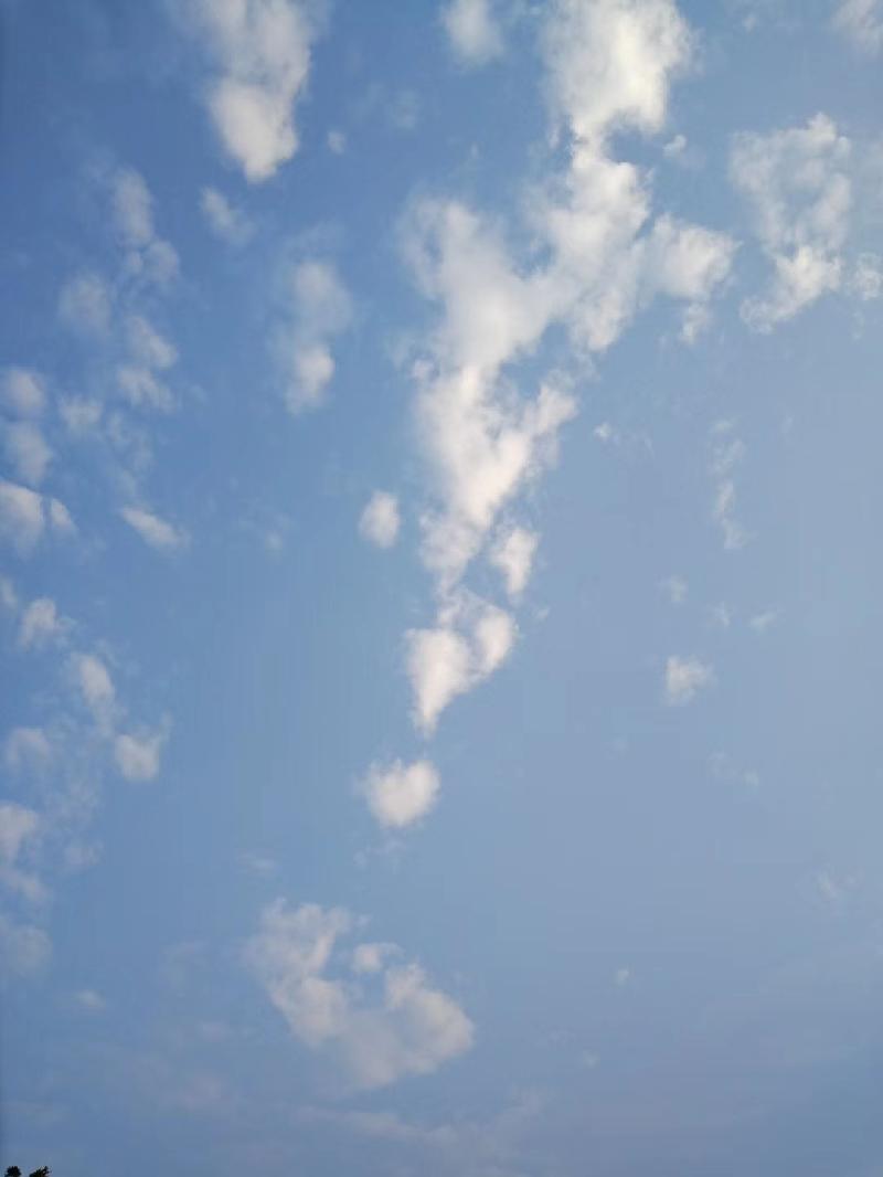 mmexport1574598032805