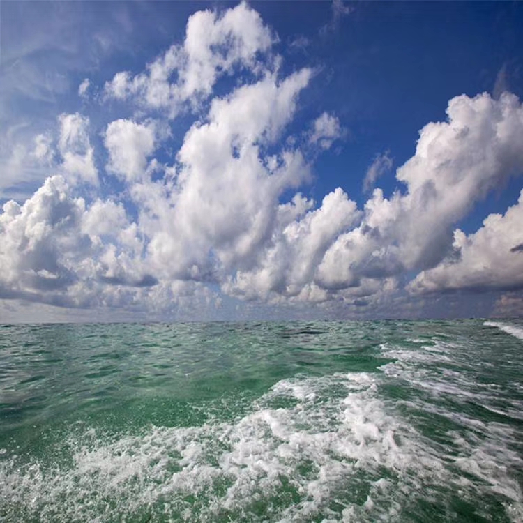 mmexport1574598451028