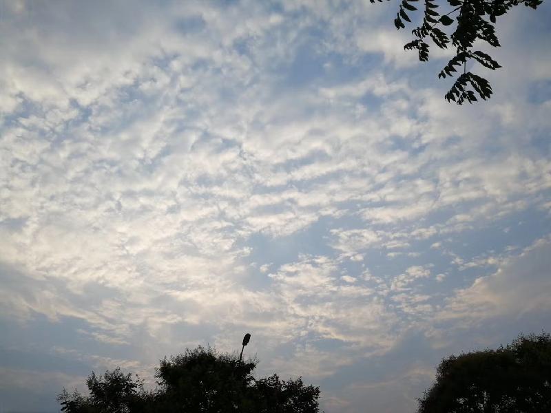 mmexport1574597735357