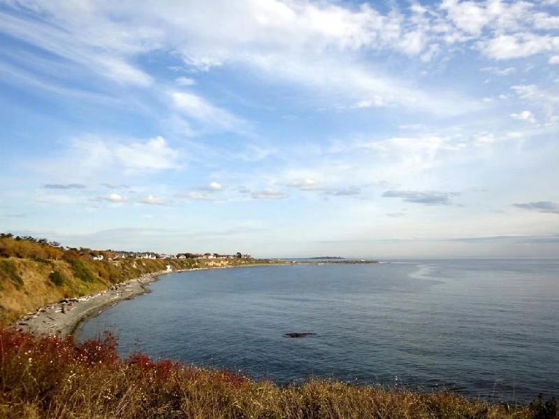 mmexport1574598447341